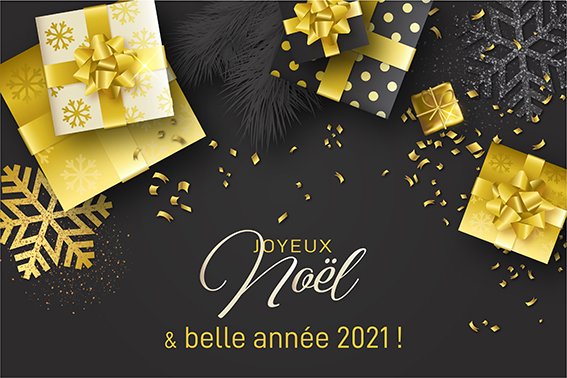 Joyeux noël et belle année 2021 !