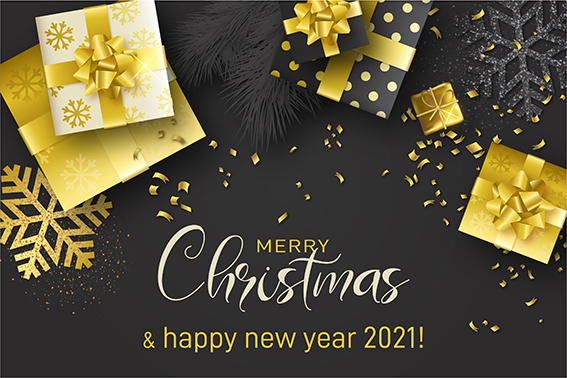 Joyeux noël et belle année 2021 !